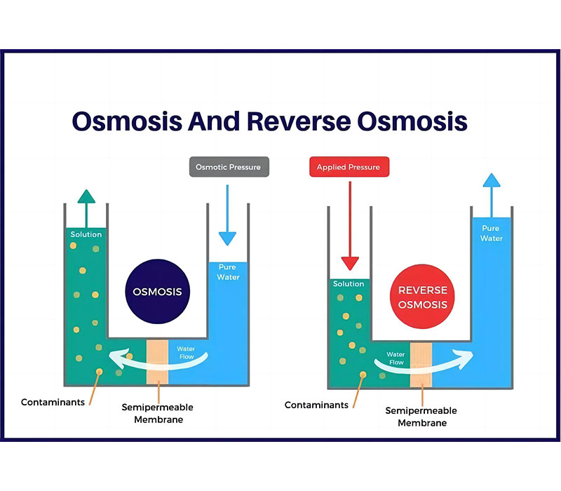 Osmosis & Reverse Osmosis